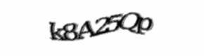 Security check image, please type the characters shown
